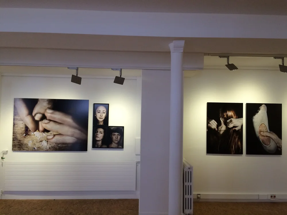 In absence, Galerie VU', Paris 2016