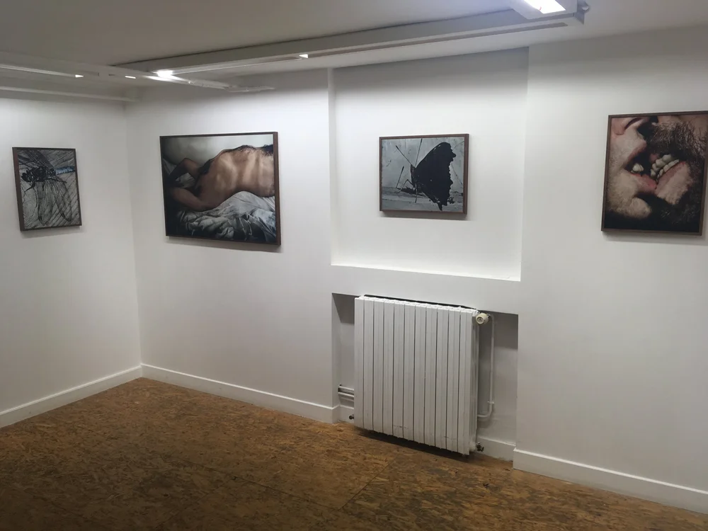 Hulls, Galerie VU',  Paris 2020