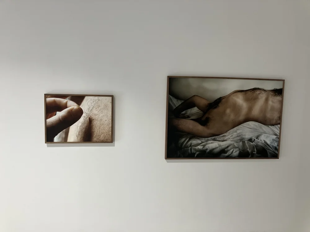 Hulls, Arles with support of the Swedish Arts Grants Committee 2023