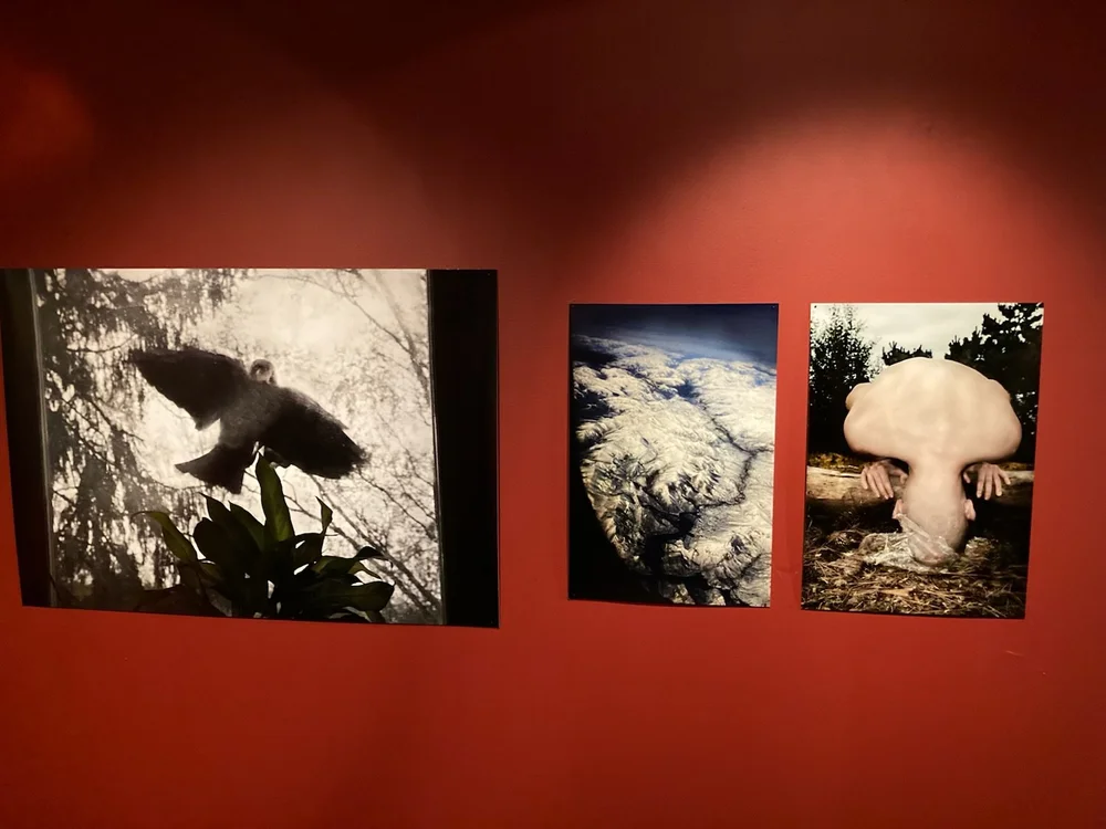 Valsta konst, Sigtuna Museum & Art 2022