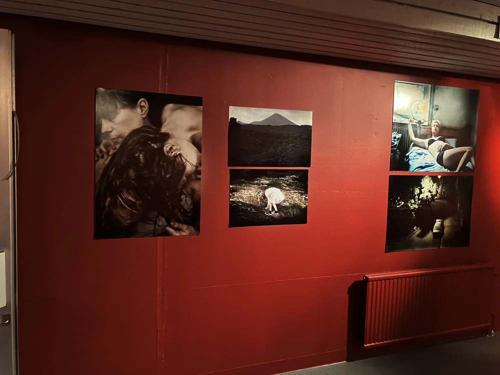 Valsta konst, Sigtuna Museum & Art 2022
