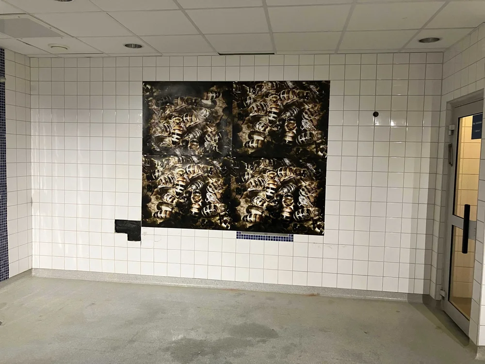 Valsta konst, Sigtuna Museum & Art 2022